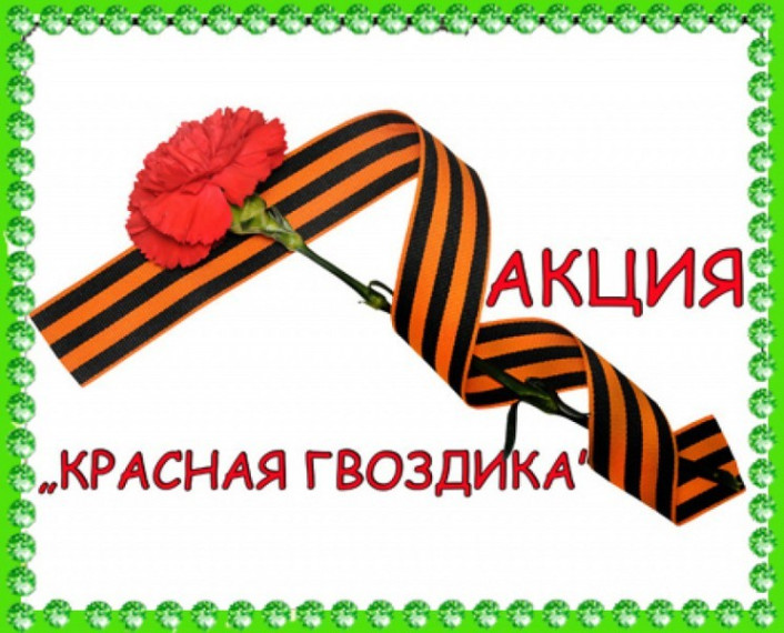 Красная гвоздика. Красная гвоздика.