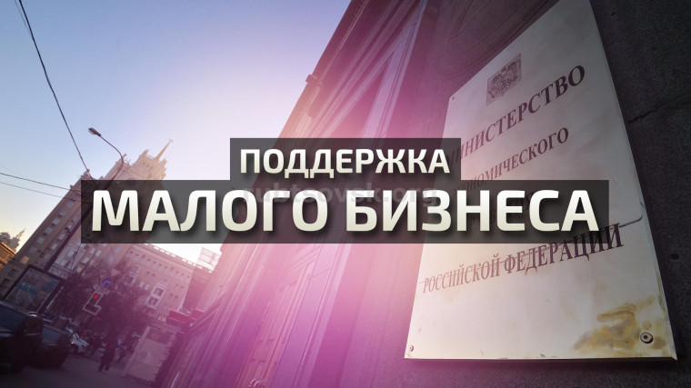 Поддержка малого бизнеса. Поддержка малого бизнеса.